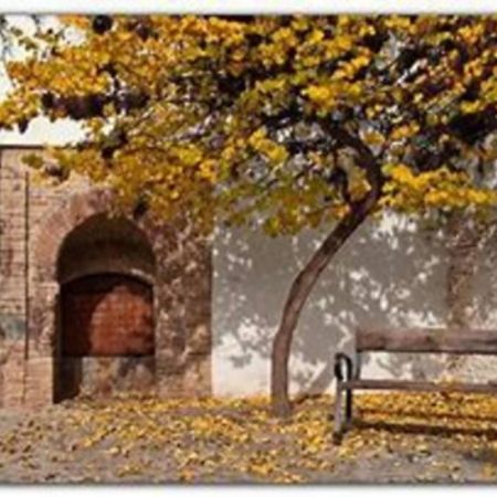 Lovely Apartment In The Centre Wifi Granada Bagian luar foto